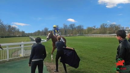 Chantilly