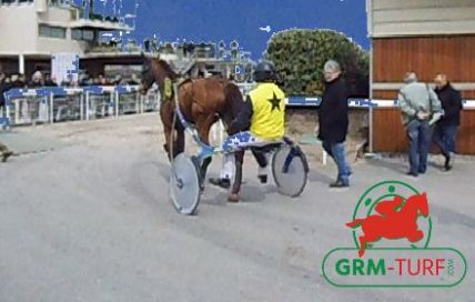 Quinté de trot