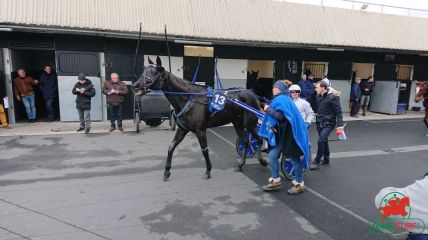 Quinté à Vincennes