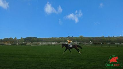 Quinté à ParisLongchamp