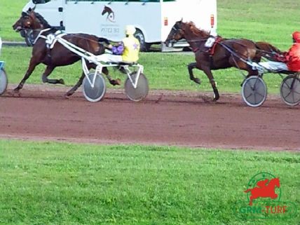 Tiercé de trot