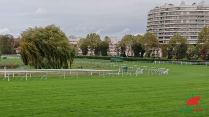 Courses à Saint-Cloud