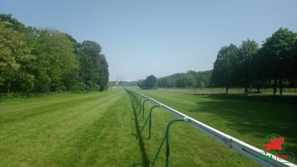 Le quinté à Saint-Cloud