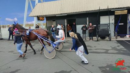 Quinté à Vincennes