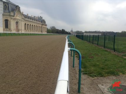 Le quinté à Chantilly