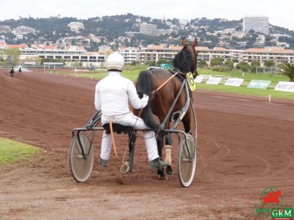 Le trotteur Sancho du Glay