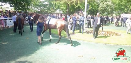 L'hippodrome d'Auteuil