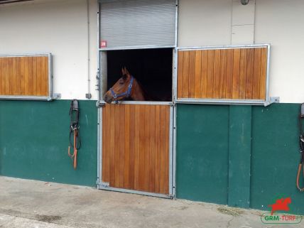 Cheval de course au galop