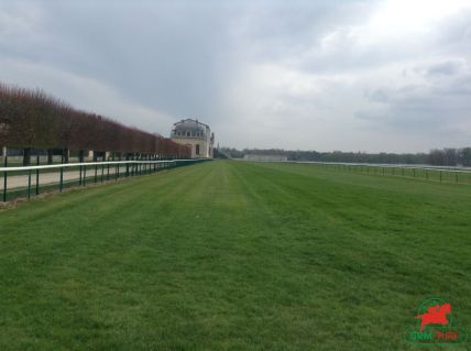 Courses et quinté à Chantilly