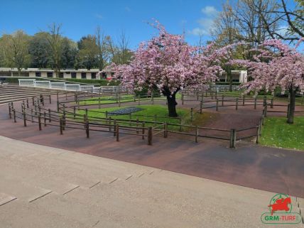 Quinté à Auteuil