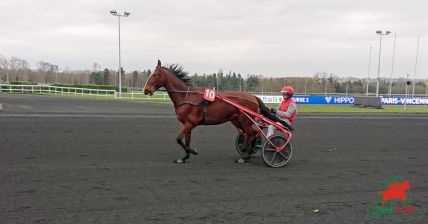 Chica de Joudes