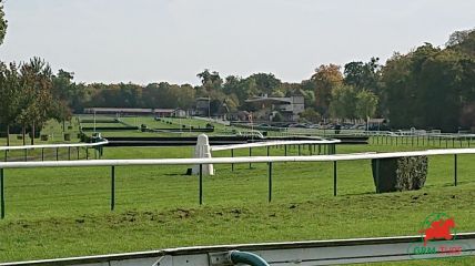 Quinté à Compiègne