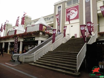 Accès aux tribunes à Longchamp