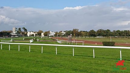 Arrivées et rapports quintés