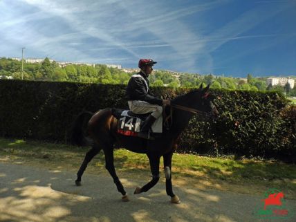 Quinté à Cagnes-sur-Mer