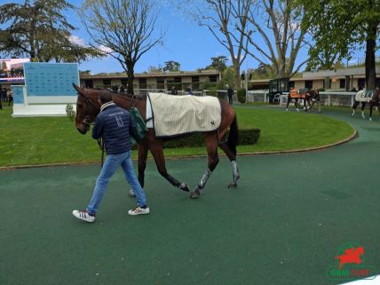 Quinté à Auteuil