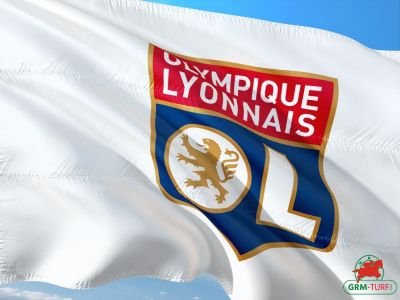 Classement championnat de France de football 2018/2019