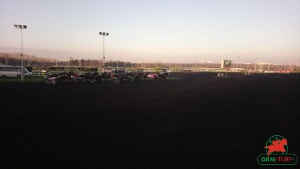 Prix de Belgique à Vincennes