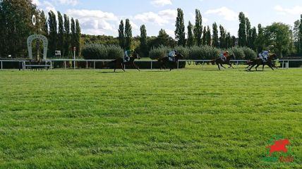 Courses à Deauville