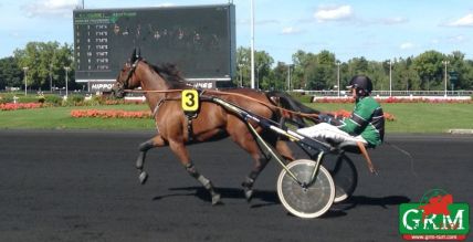 Le trotteur Sanity à Vincennes