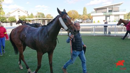 Quinté à Deauville