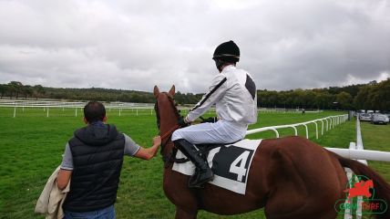 Courses et quinté à Fontainebleau