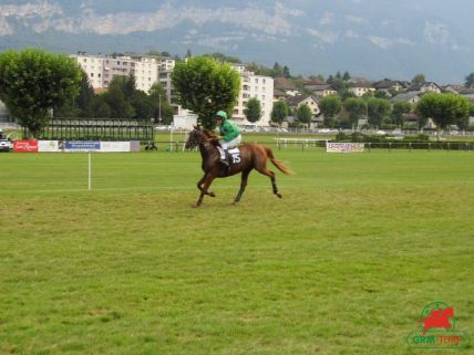 Le quinté sur l'hippodrome de Pau