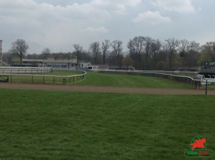 Le quinté à Clairefontaine