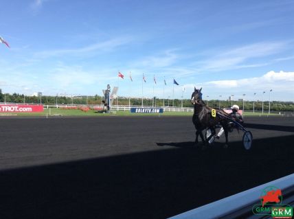 Le trot à Vincennes