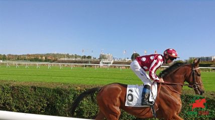 Quinté à Saint-Cloud
