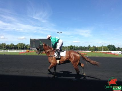 Altesse du Surf à Vincennes