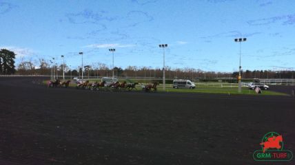 Quinté à Vincennes