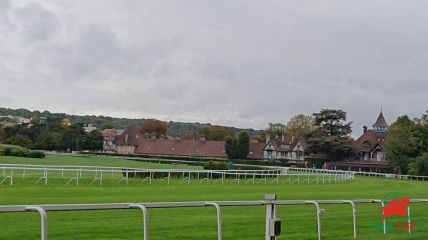 Courses à Saint-Cloud