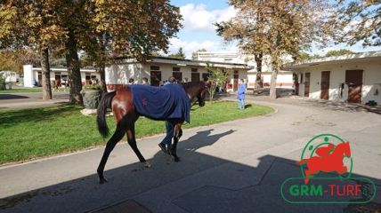 Courses et quinté à Deauville