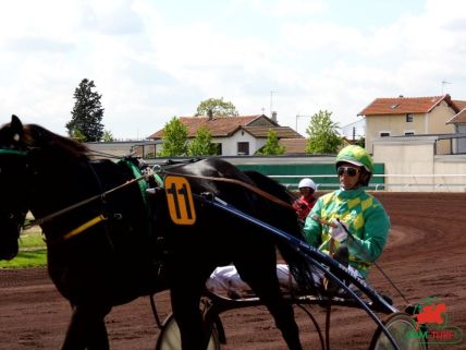 Trotteurs sur l'hippodrome d'Enghien