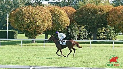 Courses à Deauville