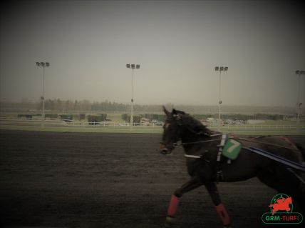 Hippodrome de Vincennes