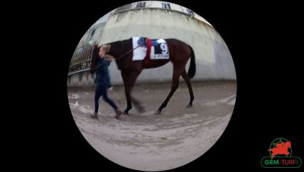 Courses à Cagnes-sur-Mer