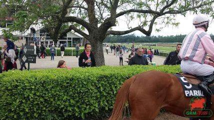 Le quinté à Chantilly