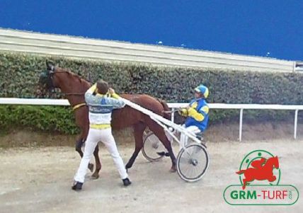 Hippodrome de trot