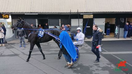 Le tiercé à Vincennes