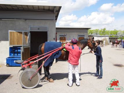 Quinté sur l'hippodrome d'Enghien