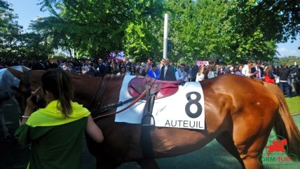 Tiercé-Quarté+-Quinté+ à Auteuil