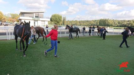 Arrivées et rapports quintés