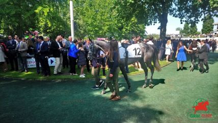 L'hippodrome d'Auteuil