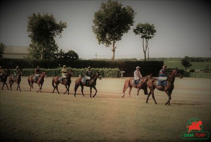 Le quinté sur l'hippodrome de Pau