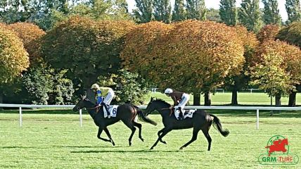 Courses à Clairefontaine