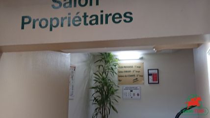 Quinté à Saint-Cloud