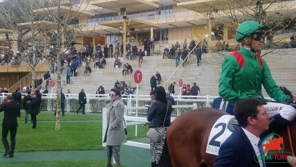 Tiercé-Quarté+-Quinté+ à Longchamp