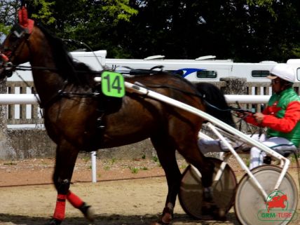 Le quinté , Hippodrome de Cherbourg